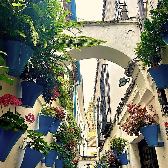 Meet your Posher, - Picture 8 of 12